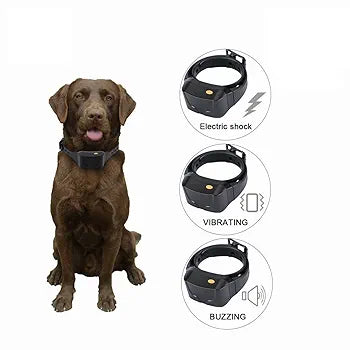 Collar for Dogs-Dog Training Shock Collar for Dogs with Vibration, Electric Shock, Beep,Rechargeable and Waterproof Remote Trainer E-Collar