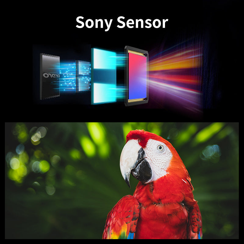 ORDRO EP7 Head Wearable 4K 60fps Video Sony sensor Camera With Remote Control