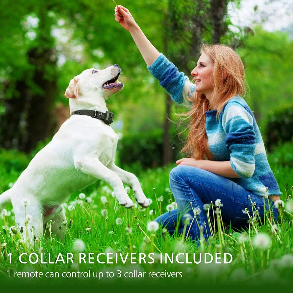 F-color Dog Training Collar Rechargeable Waterproof Dog Shock Collar for Dogs with Remote 2600ft with Beep Vibrating Shock LED Light 4 Modes for Small Medium Large Dogs