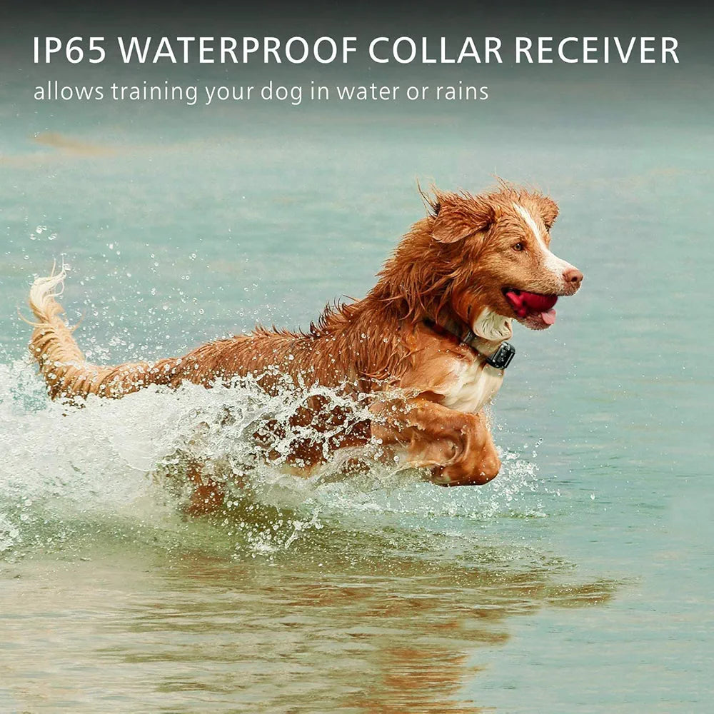 F-color Dog Training Collar Rechargeable Waterproof Dog Shock Collar for Dogs with Remote 2600ft with Beep Vibrating Shock LED Light 4 Modes for Small Medium Large Dogs