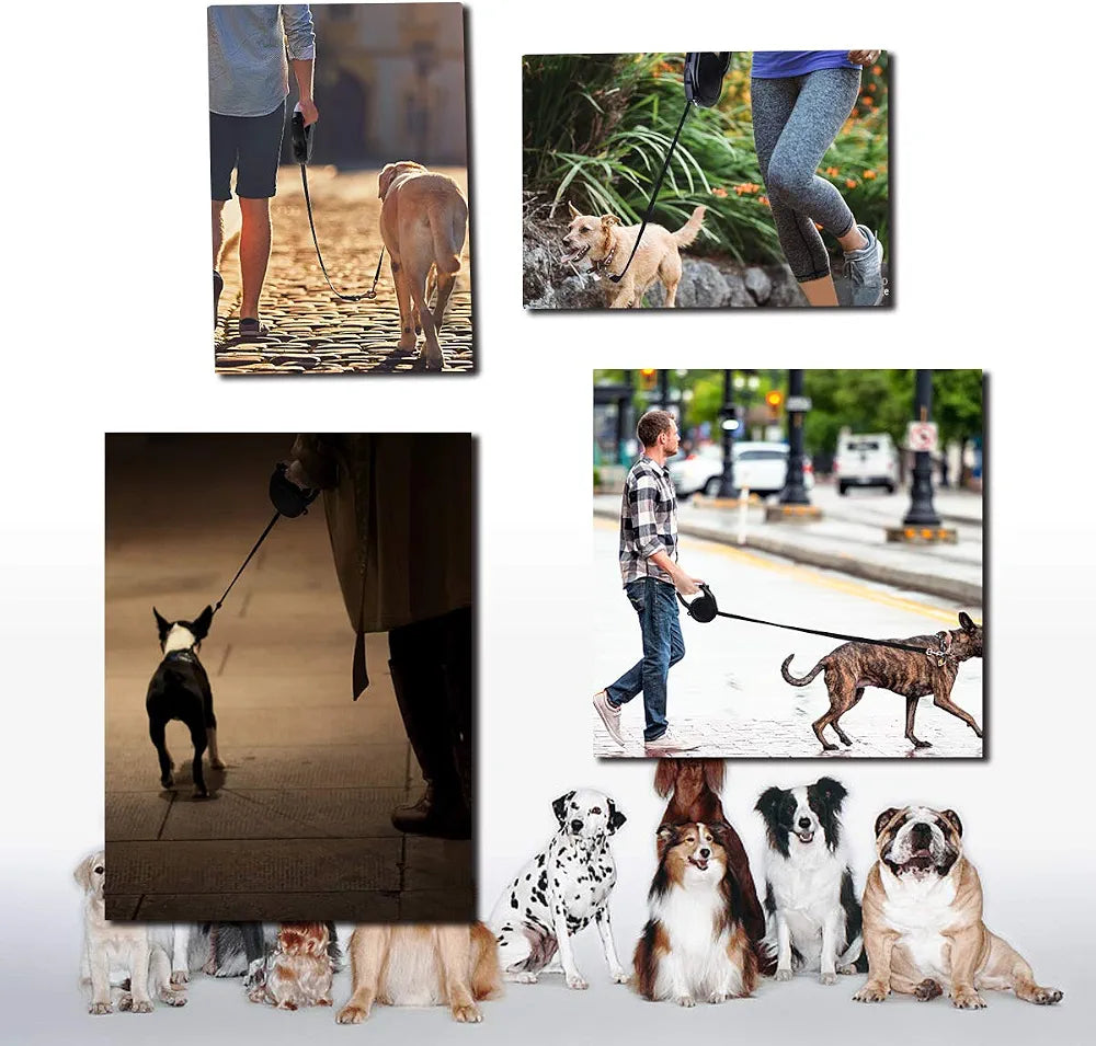 Supernight Retractable Dog Lead 8 m Long with LED Light