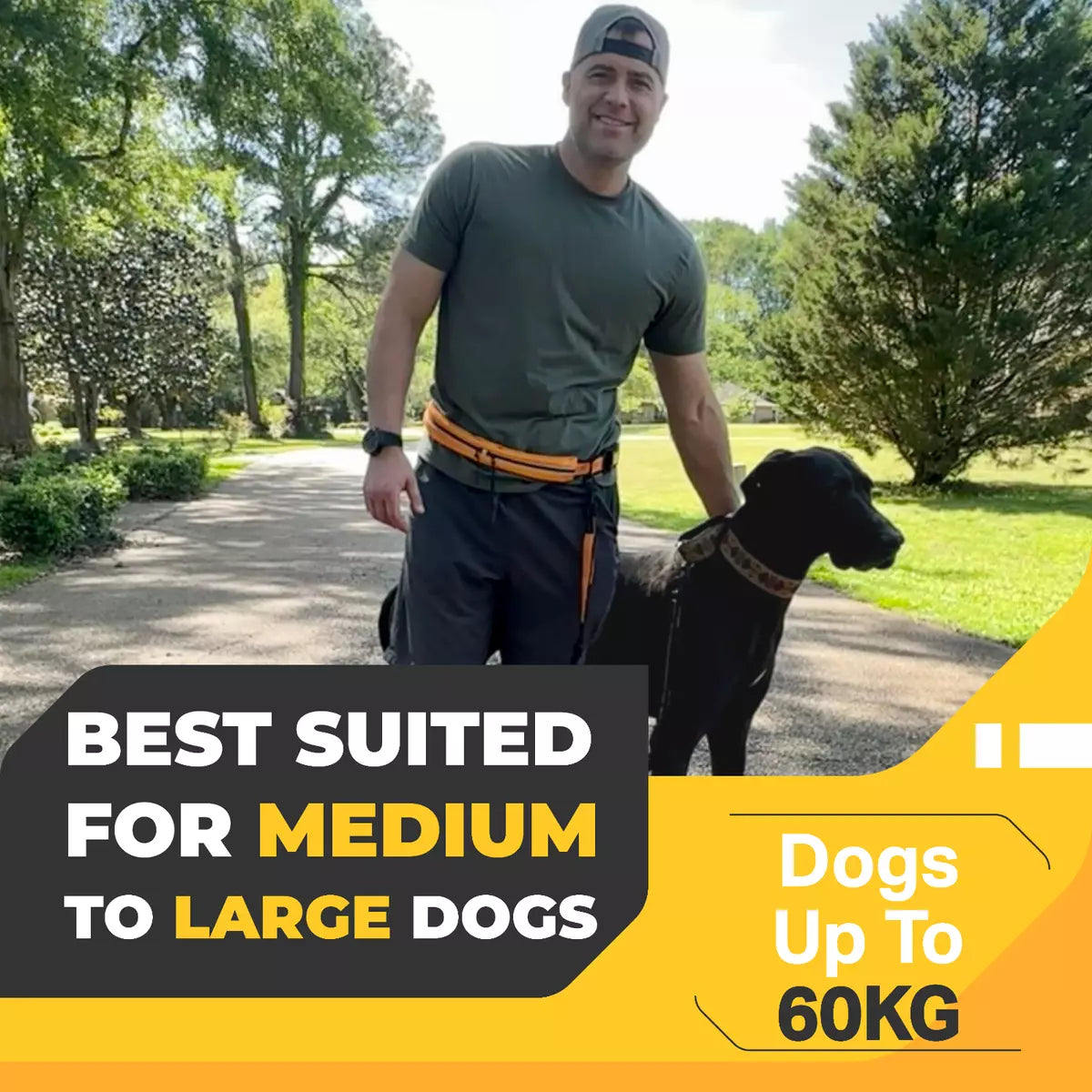Barkswell Hands Free Dog Lead for 2 Dogs - Running Dog Lead with Waist Belt and Two Bungee Dog Leads - Premium Dog Walking Belt. DOUBLE HANDSFREE DOG LEAD FOR 2 DOGS by Barkswell. Allows your Hands Freedom while Walking, Running or Jogging with your Dogs