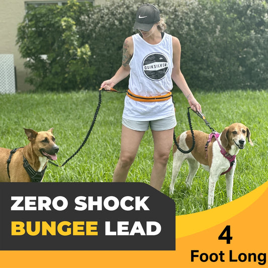 Barkswell Hands Free Dog Lead for 2 Dogs - Running Dog Lead with Waist Belt and Two Bungee Dog Leads - Premium Dog Walking Belt. DOUBLE HANDSFREE DOG LEAD FOR 2 DOGS by Barkswell. Allows your Hands Freedom while Walking, Running or Jogging with your Dogs