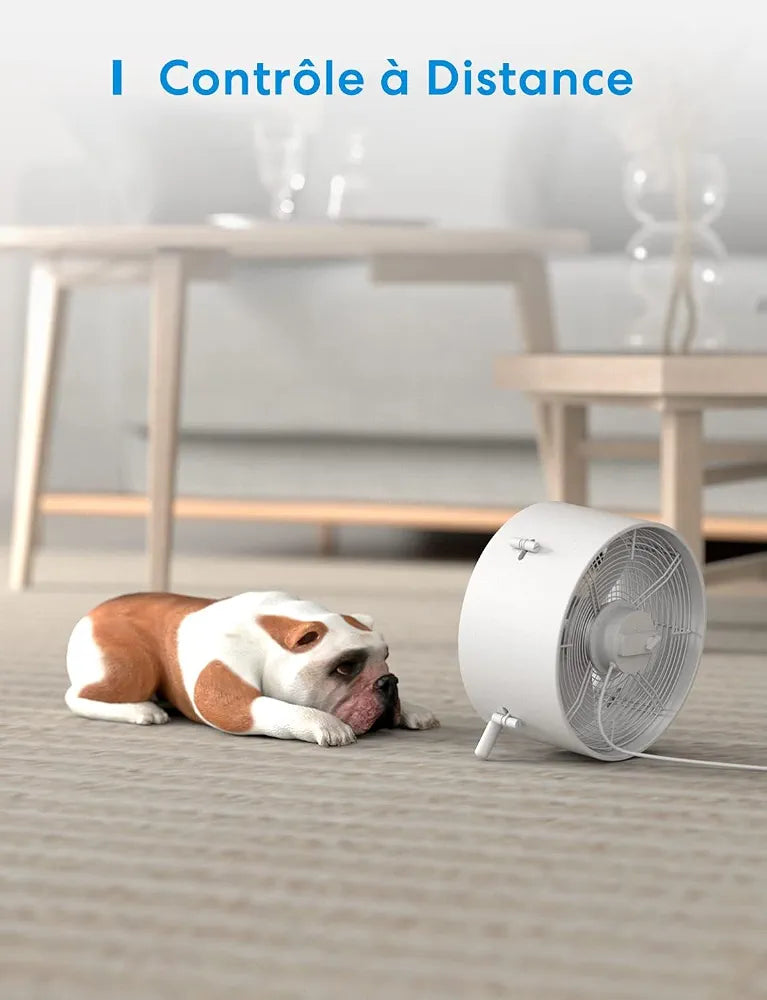 Meross WiFi Smart Socket Works with Alexa, Apple HomeKit and Google Home