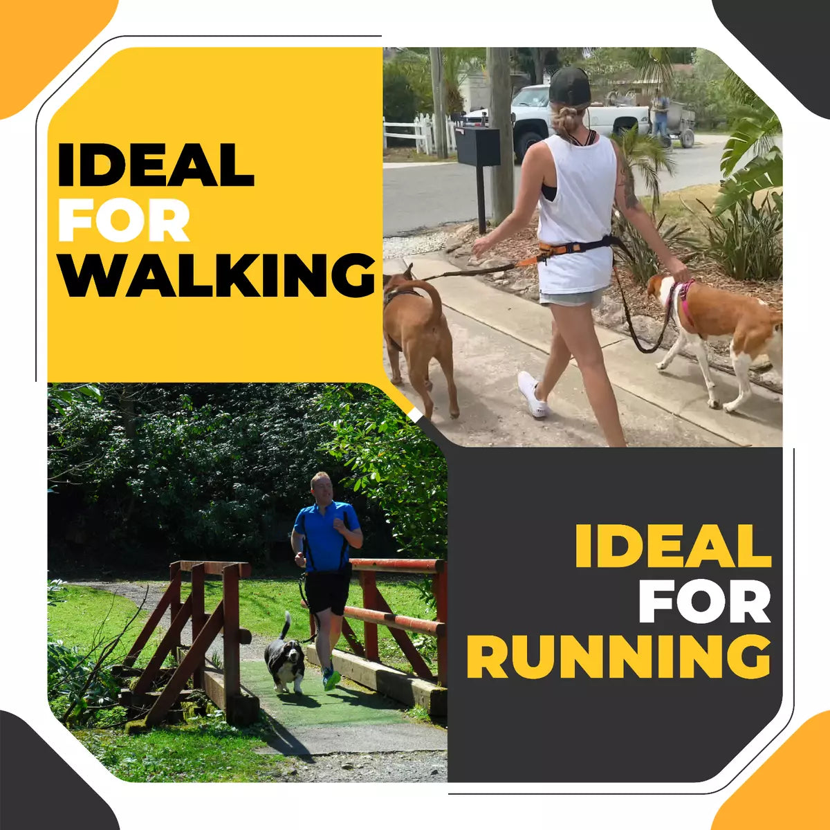 Barkswell Hands Free Dog Lead for 2 Dogs - Running Dog Lead with Waist Belt and Two Bungee Dog Leads - Premium Dog Walking Belt. DOUBLE HANDSFREE DOG LEAD FOR 2 DOGS by Barkswell. Allows your Hands Freedom while Walking, Running or Jogging with your Dogs