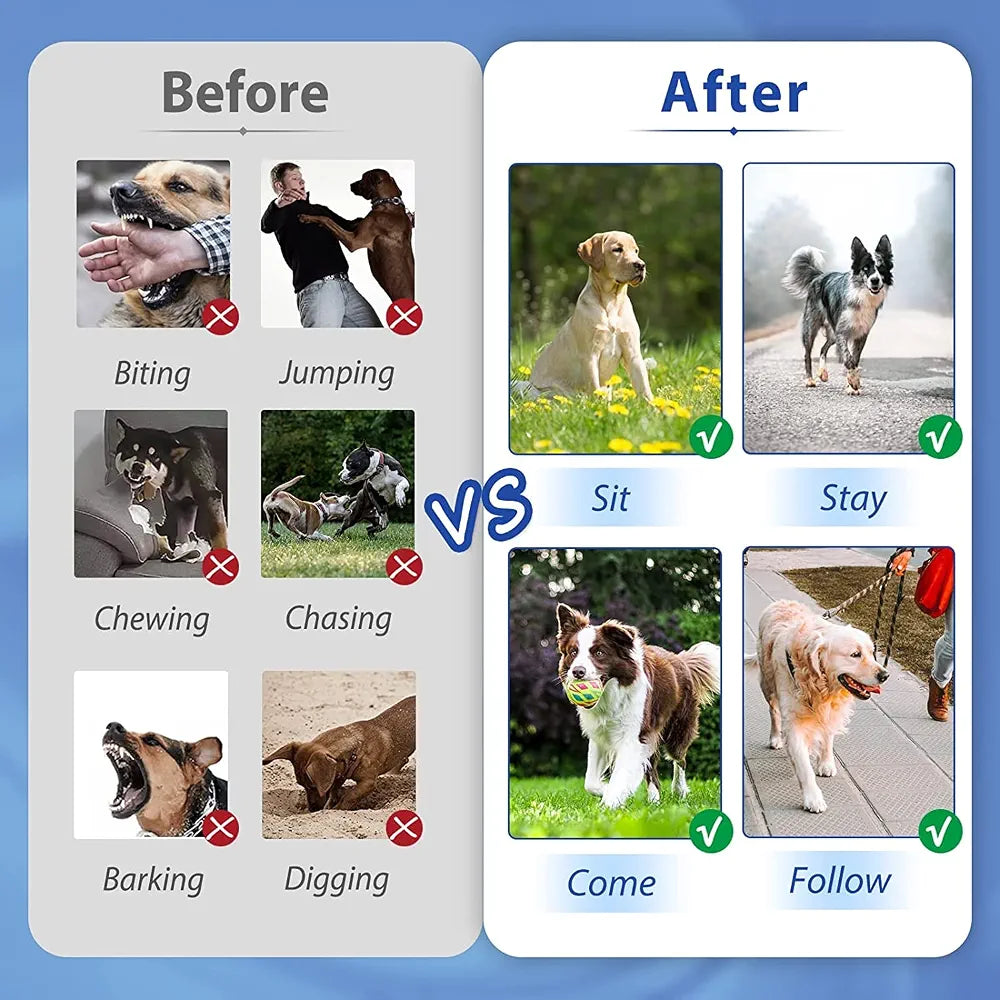Nestling Rechargeable Remote Dog Training Collar