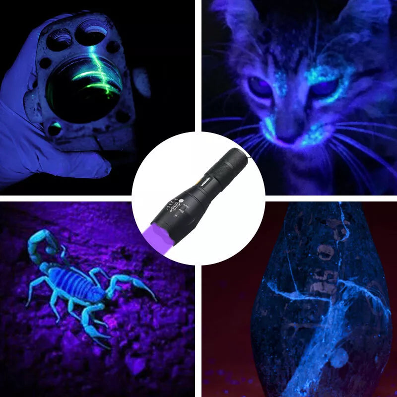 Black Light Flashlight 365nm, Ultra Violet Flashlight Black Light Flashlight Pet Urine Detection Lamp Flashlight High Brightness Handheld LED Torch for Pet Urine Paper